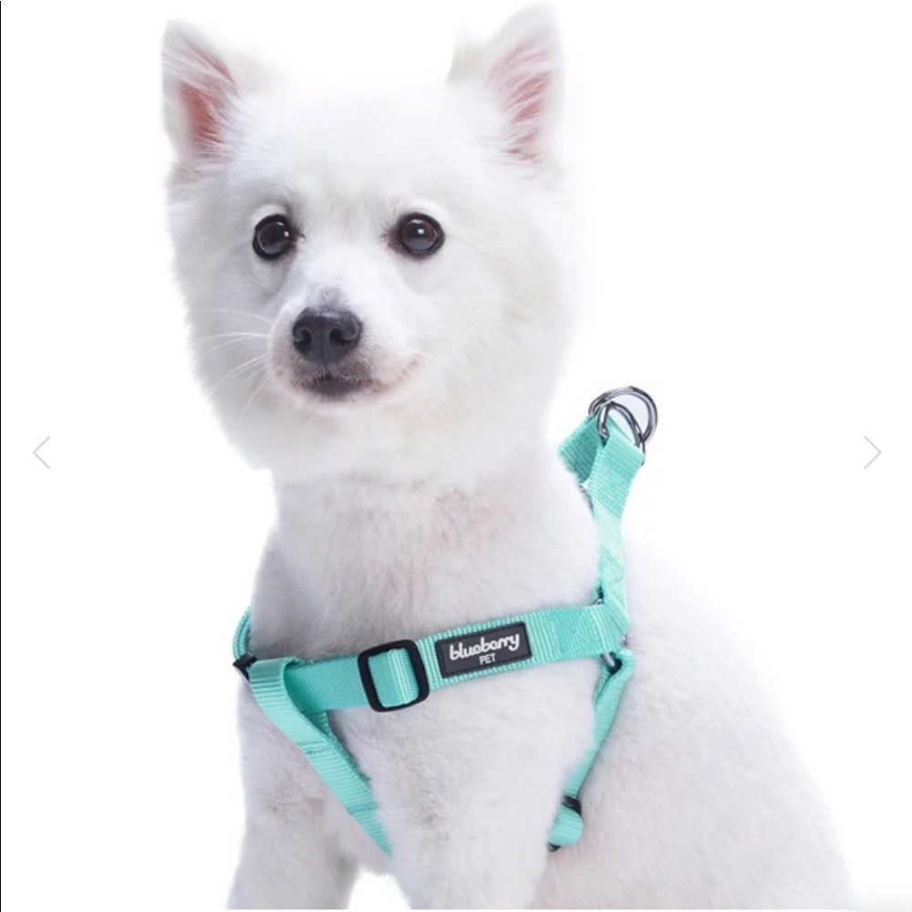 7 Piece Set Blueberry Pet Dog Harnesses Leashes and Collar
